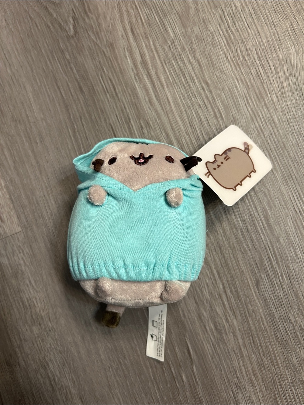 Pusheen Plush in Aqua Hoodie - Soft Gray Cat- NWT